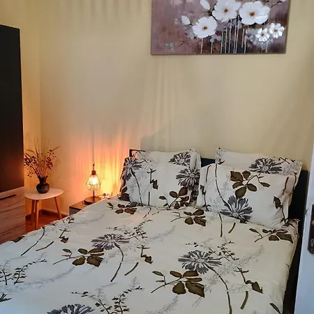 Decent Cozy * Kolozsvár