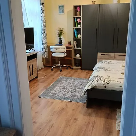 Decent Cozy Apartment