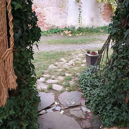 Apartment Decent Cozy