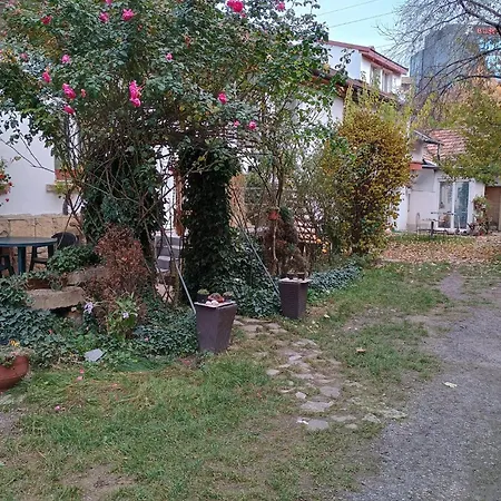 Decent Cozy Apartman *