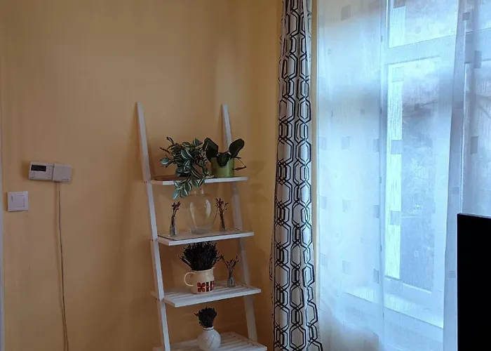 Decent Cozy Cluj-Napoca