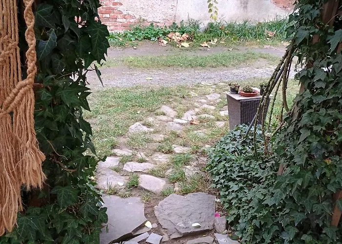 Apartment Decent Cozy