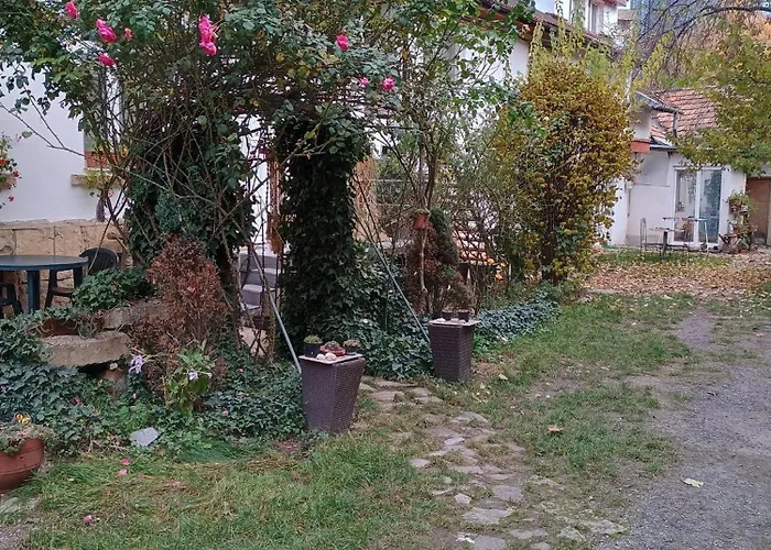 Decent Cozy Apartment *